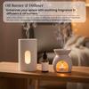 Veena Aroma Oil Diffuser, Candle Perfume, Soap Making Long-Lasting Fragrance Coco Vanilla 500 ml view 2