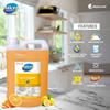 MicroDefence Multitasker 6-in-1 Eco-Friendly Cleaner for Washing HardSurface,Glass,Floor,Car, Dish Cleaning Gel-5 Liter view 3