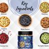 Go Vegan Healthy Nutmix | Premium Trail Mix | Mixed Nuts with Dry Fruits Mix | Dried Almonds, Black Raisins, Cashew, Cranberries, Green Raisins, Pumpkin Sunflower Seeds Walnut Kernels (250 Gram) view 3
