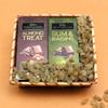 SFU E Com Dry Fruit Hamper Pack with 2Pcs. Temptation Raisin | Ideal for Rakhi, Diwali and Festive Gifting | Premium Dry Fruit Hamper For Corporate Gifts, Family, Friends, New year | 279 view 1