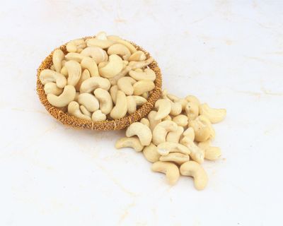 SFU E Com Dry Fruit Gift Hamper With Golden Katori Cashew | Ideal for Rakhi, Diwali and Festive Gifting | Dry Fruit Hamper For Corporate Gifts, Family, Friends, New year | 064