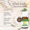 AROMATICO- LEMON Essential Oil | Improves Skin Radiance, Boost Hair Luster | Revitalizing Care for Face, Scalp & Skin. Aromatherapy and Massage - 10ml view 2