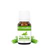 AROMATICO Tea Tree Essential Oil for Skin, Hair, Face, Acne Care, Dandruff | Promotes Blemish Free Skin, Improves Hair Growth 100% Pure, Natural | 10ml view 1
