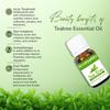 AROMATICO Tea Tree Essential Oil for Skin, Hair, Face, Acne Care, Dandruff | Promotes Blemish Free Skin, Improves Hair Growth 100% Pure, Natural | 10ml view 3