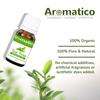 AROMATICO Tea Tree Essential Oil for Skin, Hair, Face, Acne Care, Dandruff | Promotes Blemish Free Skin, Improves Hair Growth 100% Pure, Natural | 10ml view 4