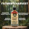 Eatopia Farmer's Harvest Honey Squeeze Bottle | Natural Ayurvedic Immunity Booster | 100% Natural & Pure Honey | No Added Sugar | Raw, Unprocessed, Unpasteurized | Nectar Honey | Pack of 1-500gm view 3