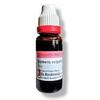 Dr Reckeweg Berberis Vulgaris Q view 2
