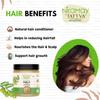Niramay Tattva Amla Powder (Indian Gooseberry) for Hair Growth (200g), Black Colour, Drinking and Eating view 3