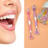 ATEVON 8 Pc 2 in 1 Toothbrush Case widely Used in All Types of Bathroom Places for Holding and Storing toothbrushes and toothpastes of All Types of Family Members etc view 3