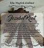 Herbaveda- Jezebel root 1kg | Pure herb view 3
