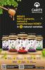 CARITY Nilgiri Natural Fresh Pure Honey Improve Activeness Boost Immunity Helps In Digestion (Pack Of 1, 950 GM) view 3