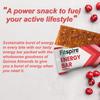 Fitspire Redberry Energy Bar (1 x 35g) | 100% Vegan, Gluten-Free & Sugar-Free | No Artificial Sweeteners or Preservatives | All-Natural with Walnuts & Sunflower Seeds view 4