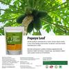 Genius Herbs Papaya Leaf Powder I 200 gm I Supports Digestion & Healthy Blood Platelets I Herbal Supplement for Normal Blood Sugar Levels I Anti-Oxidant Pack of 1 view 4