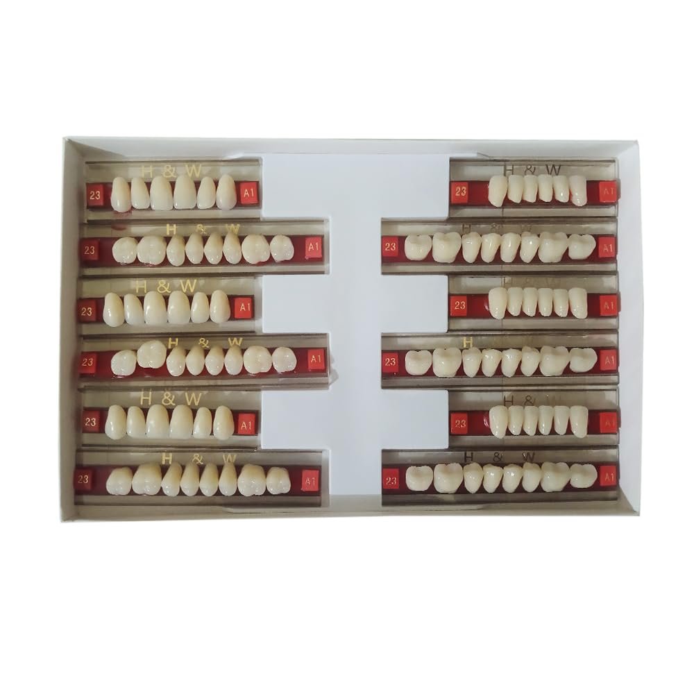 Synthetic teeth set - Double layer - A1 - module 419