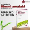 Dr.Vasishth's Phylocil Tablet - Bhumi Amalaki Extract (30 tablets) | Phyllanthus Niruri | Effective Detoxifier | FDCA Approved view 3