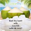 Nata De Coco Coconut Jelly - 500g | Delicious & Refreshing Coconut Jelly for Desserts & Beverages (5 mm) view 3
