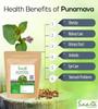 Saara HERBAL FRESH Mookirattai Powder, 70g,Mukirattai Root Powder,Punarnava Root Powder, Atikamamidi, Boerhavia diffusa, Sathi Jadd, Saranai Ver Root Powder, (pack of 1 x 70g) view 3