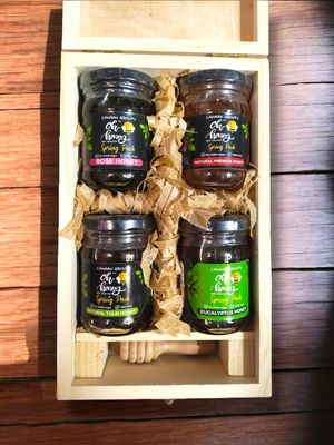 Canaan Group's -Organic Oh Honey | 100% Organic Honey | Squeeze Pack | No Added Sugar (Honey Gift Box, 600 g (Pack of 4))
