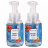 The Foam Makers Foaming Handwash Pump - FROZEN BERRY - (Pack Of 2-300ML Each) RICH FOAM SOFT HANDS view 1