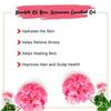 100% Pure Essential Oil Therapeutic Grade Natural [15ML] (Rose Geranium) view 3
