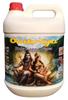 Omkriya Gangasagar 5 Litre Ganga jal for Puja & Religious Works | Hand Collected(Unfiltered) [Model no.: 5 Litre CMD Jar] view 1
