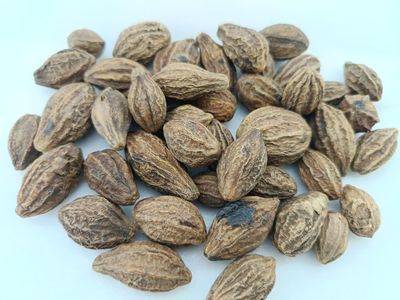 advancedestore (Pack of Qty-150grams) Badi Harad Whole Aralu | Inknut | Haritaki | Kadukkai - Harar -Karakkaya