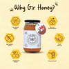 GIR HONEY LYCHEE Organic Raw Honey | NMR Tested 100% Raw & Pure Honey | Unprocessed, Unpasteurized, Unheated & Unadulterated | 500gm Jar (Pack Of 2) view 4