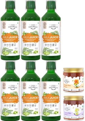 Farm Naturelle - Amla Juice 750ml X 6 | Rich in Vitamin C | Supports Immune System |90 Day's Pack