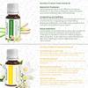 Asian Aura | Premium Aroma/Humidifier Diffuser Oil for Aromatherapy and Fragrance |15ml Bottle (Ocean Breeze) (Pack of 2) view 4