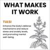 myUpchar Tulsi Drops - Sourced 5 Rare Tulsi from Himalayan range | Purified Tulsi Extract - Colorless and Odorless | Immunity Booster, Relieve Cough & Cold - 30ml (Pack of 4) view 2