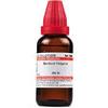 Schwabe Berberis Vulgaris 30 CH 30 ML | Pack of 2 view 1