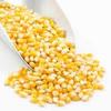 Uma Dry Fruits Popcorn Kernels [Now Enjoy Movie Theatre Style Butterfly Popcorn at Home] (900grams) view 3