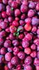 Himalayan Haat Plum Cooler  100% Natural Handmade Plum Syrup | Made with Himalayan Plums & Khand | No Preservatives | Refreshing Summer Drink | 500ml view 4