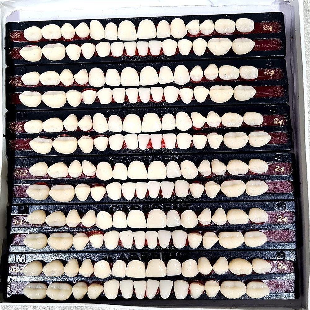 Dental Leo Dent Acrylic Teeth Kit Shade Of Teeth 23