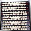 Dental Leo Dent Acrylic Teeth Kit Shade Of Teeth 23 view 1