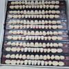 Dental Leo Dent Acrylic Teeth Kit Shade Of Teeth 23 view 2