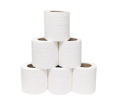 Rosella 2 ply Toilet Tissue Paper Roll Family Sanitary Rolls Thicker, Extra Soft & Highly Absorbent Perfect for Your Home and Office (Pack of 6 Rolls - 250 Sheets Per Roll)