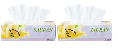 Pack of 2(2 Ply) Facial Tissue Box | Car Tissue - (100 Pulls per Box)(CN5)