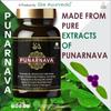 PUNARNAVA Capsules| Good Gut Health & Healthy Appetite| Heart and Urinary Health|UTI|Kidney|Liver|Fluid retention|  60 Veg capsules| MEN HEALTH WELLBEING view 2