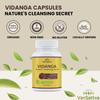 VanSattva Vidanga Capsule - Antiparasitic, Digestion & Respiratory Support - 60 Caps - 650 mg each view 2