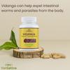VanSattva Vidanga Capsule - Antiparasitic, Digestion & Respiratory Support - 60 Caps - 650 mg each view 4
