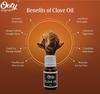OOTY ORIGINALS - Clove Oil 10ml view 4