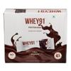 Whey91 Choco Fudge Protein Bar, 20g Protein & 7.3g Fiber in each, No Added Sugar, No Artificial Flavour, 390g- (Pack of 6) view 1