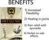 SHISWA KITCHENWARE Ortho Nil Powder Babaji ORTHONILL POWDER FOR JOINT PAIN BODY PAIN MUSCLE PAIN Powder - (112 Pouch) view 3