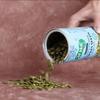 24 NUTS Premium Jumbo : Hand-Picked, Nitrogen-Flushed Pumpkin Seeds (500 g) view 1