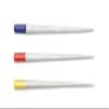 DENTAL TOOL Gutta Percha Points (4%, 25) view 3