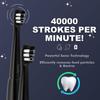 TOOTLE Adult Essential Electric Toothbrush-Aaa Powered, 90 Days Battery Life, 40,000 Strokes, 3 Modes, Dupont Tynex Bristles, Smart Timer, Memory Function, Includes 2 Brush Heads, 1 Piece view 3