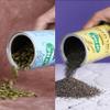 24 Nuts Hand Picked Jumbo Size Premium Raw Chia Seeds & Pumpkin Seeds Combo Pack 500gm (250g X 2) view 1