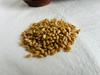 Alifunta Wheat Grain|High in Fibre & Protein | Helps Reduce Cholesterol & Manages Weight | Best for Chapati | Good Digestive Health |Gehoo|Gahu| Vegetarian| 5 KG view 2