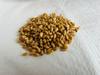 Alifunta Wheat Grain|High in Fibre & Protein | Helps Reduce Cholesterol & Manages Weight | Best for Chapati | Good Digestive Health |Gehoo|Gahu| Vegetarian| 5 KG view 3